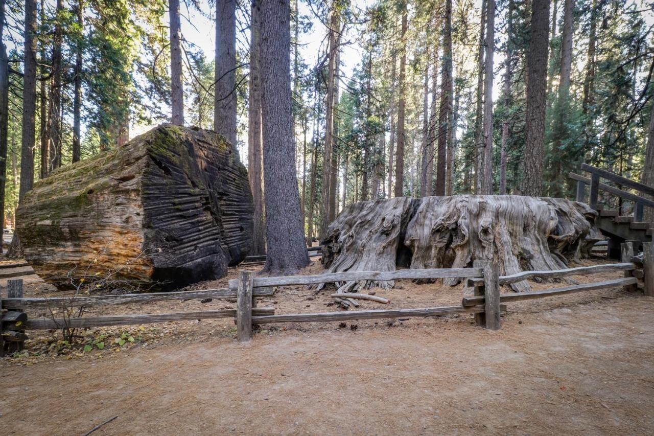 Hikers Haven Villa Arnold Exterior foto